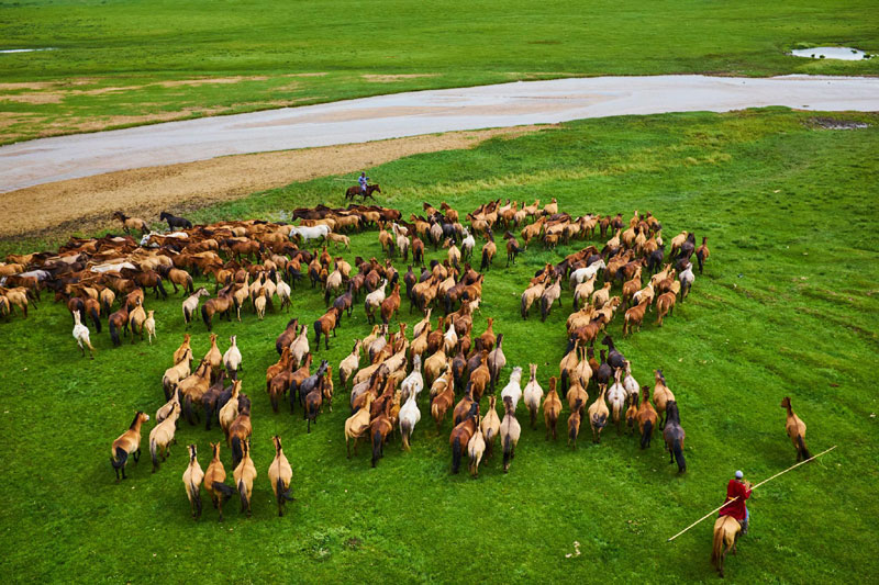 Central Mongolia